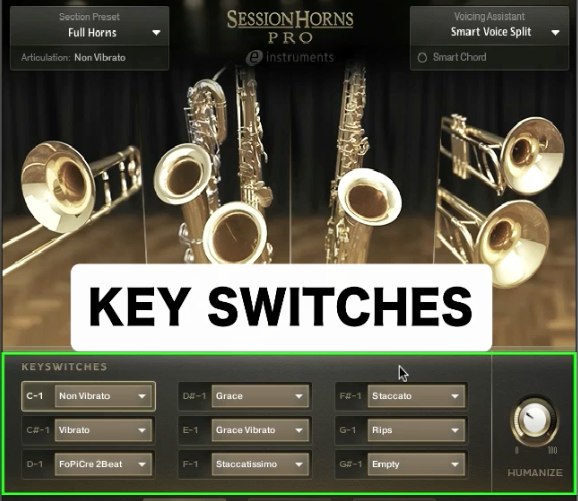 Key Switches