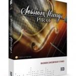 NI Session Strings Pro