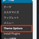 Theme Options