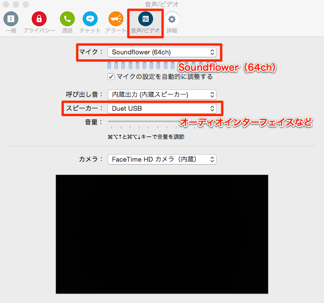 音声_ビデオ設定