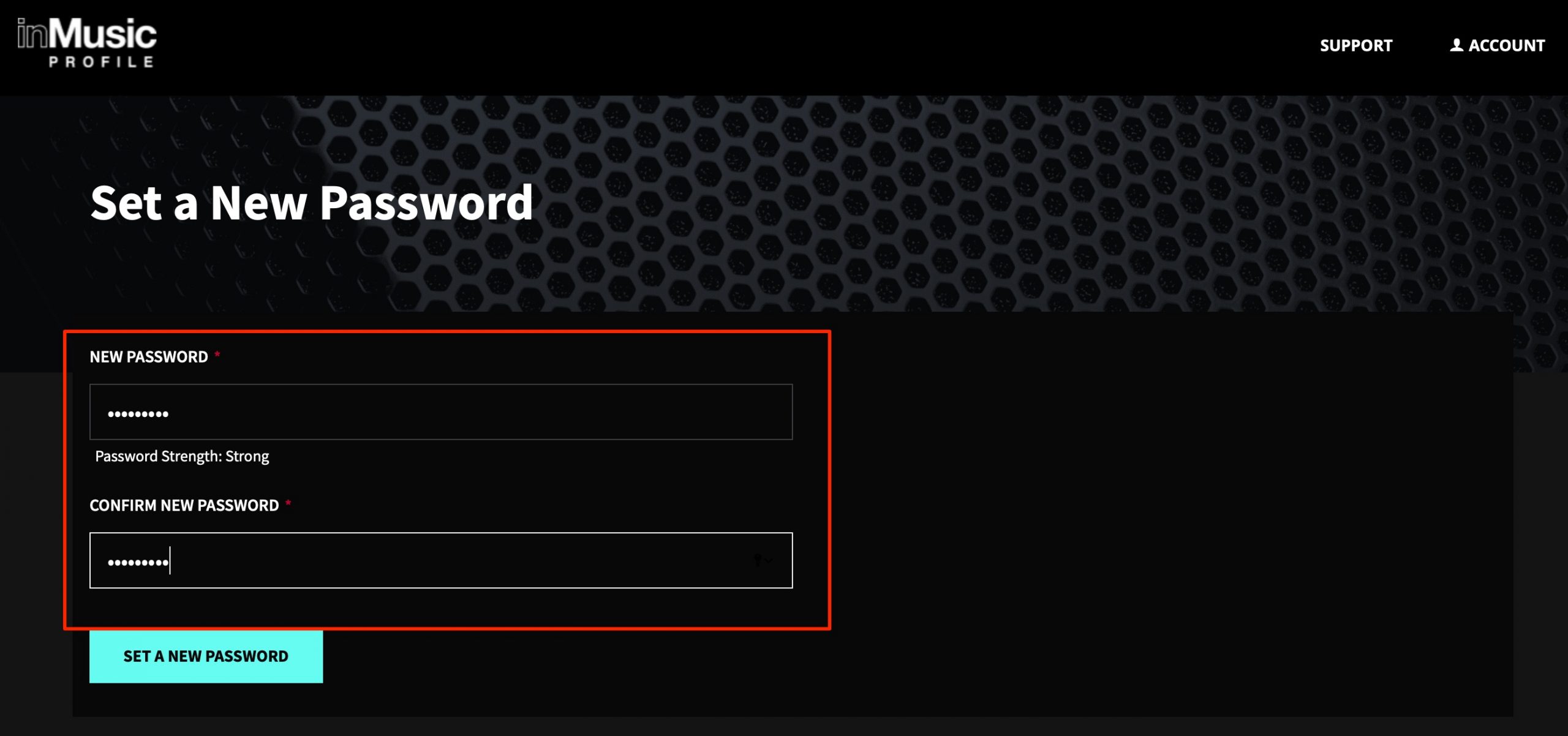 Set_a_New_Password