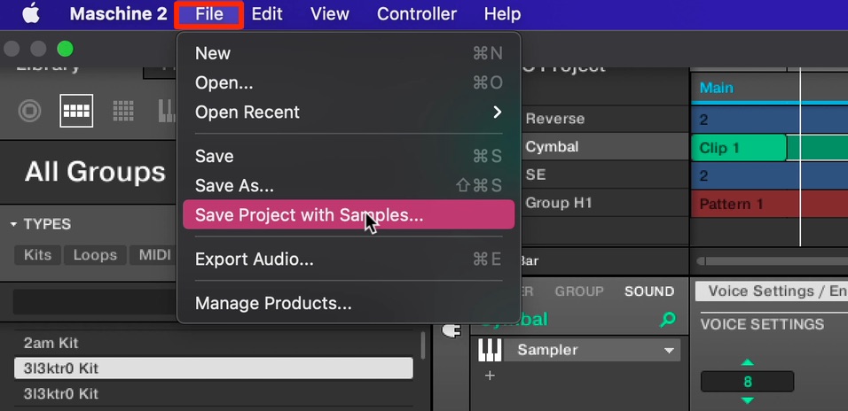 Save_Project_with_Samples