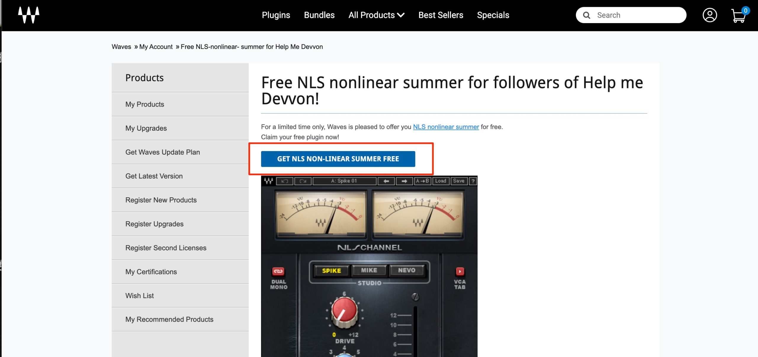 Free_NLS_nonlinear_summer