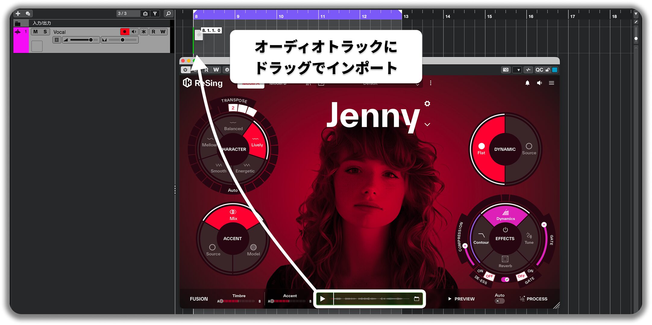 ReSing_Plugin_Export