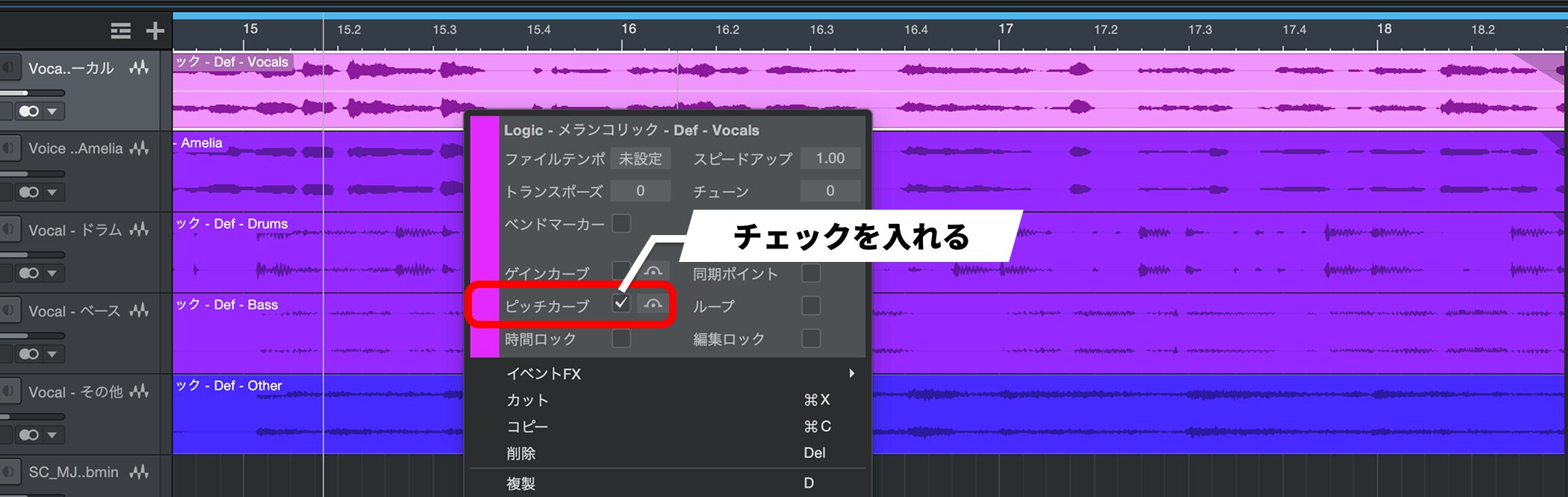 Fender-Studio-Pro-8.1-21